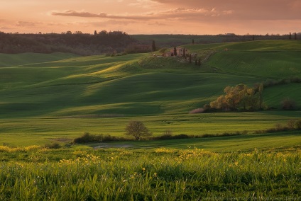 Primăvara Toscana, știri despre fotografii