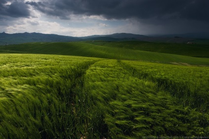 Primăvara Toscana, știri despre fotografii