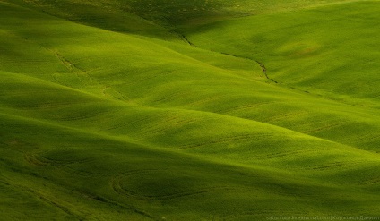 Primăvara Toscana, știri despre fotografii