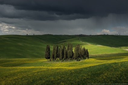 Primăvara Toscana, știri despre fotografii