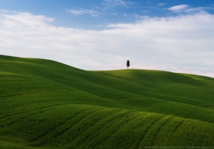 Primăvara Toscana, știri despre fotografii