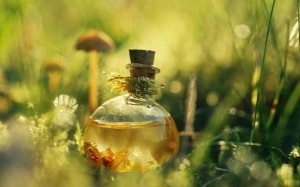 A parfüm és illat típusai, a teremtés formái