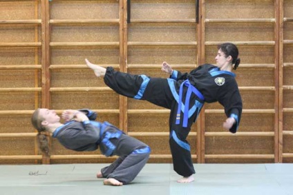 A kung fu képzés típusai