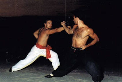 Tipuri de training kung fu