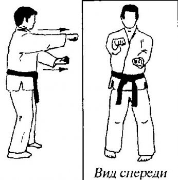 Mindent a karate - print verzió alaptechnikáról goju-ryu