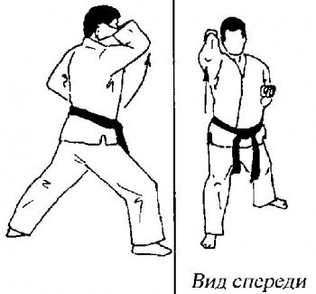 Totul despre karate - versiunea de imprimare tehnica de bază goju-ryu