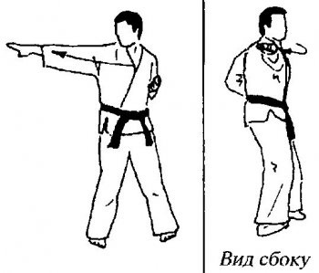 Mindent a karate - print verzió alaptechnikáról goju-ryu