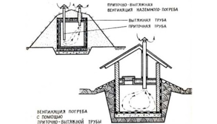 Depozitarea legumelor și fructelor sub control strict