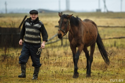 Miért Minszki állampolgár egy haldokló faluba ment, és megmentette a lovakat?