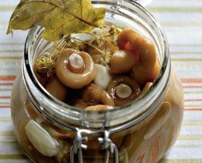 A téli gombák szedése konzervdobozban, módszerek és receptek - jó tanácsok