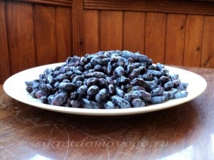 Honeysuckle - hasznos tulajdonságok, a brownie titkai