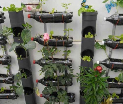 15 Ötletek a házaknak függőleges műanyag palackok kertjéhez