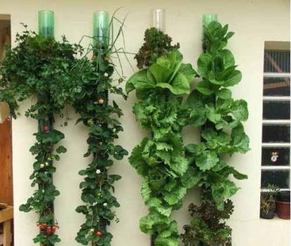 15 Ötletek a házaknak függőleges műanyag palackok kertjéhez
