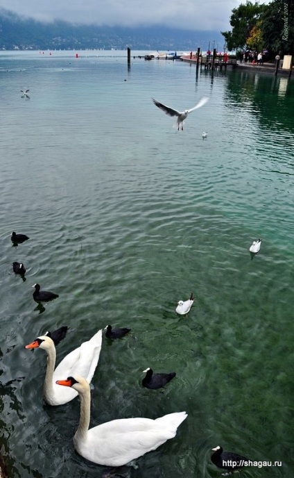 Annecy (annecy), Franța se plimbă în jurul orașului, castelul, lacul Annecy