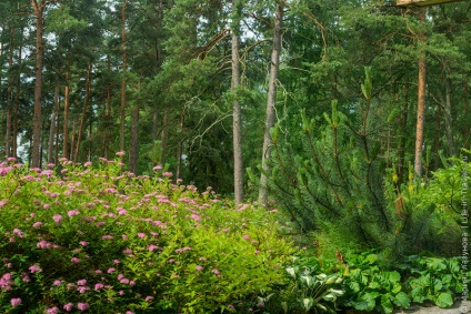 Cel mai bun hotel western rantapuisto - hotel în sânul naturii în apropiere de Helsinki