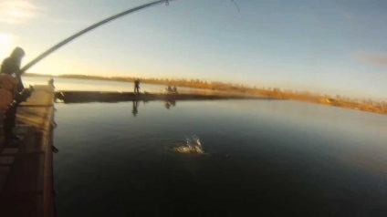 Lacul turcoaz, carieră turcoaz