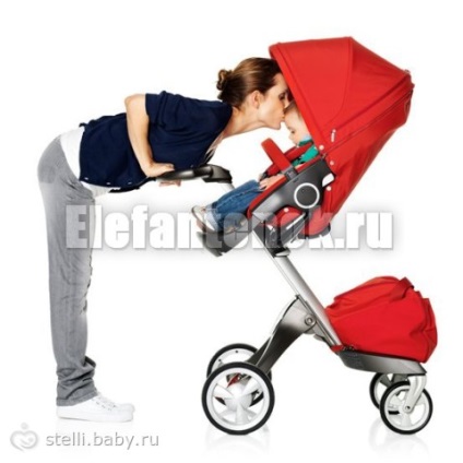 Bugaboo cameleon 1 - pe