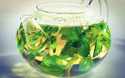 Tea melissa előnyös tulajdonságokkal és ellenjavallt gyógynövények