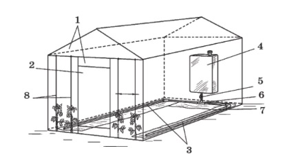 Desenarea unei seră pentru etapele de construcție a roșiilor înalte, nuanțe importante, scheme