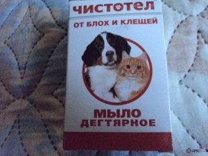 Puritate (săpun de gudron) pentru câini și pisici, comentarii cu privire la utilizarea de medicamente pentru animalele din