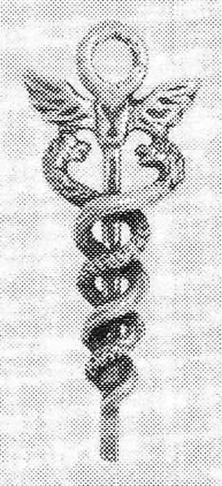 Citiți simbolurile fericirii (talismane-amulete) - Oleynikov Anton - pagina 6