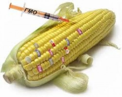 Ce este răul OMG și beneficiile utilizării produselor modificate genetic?