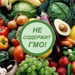 Ce este răul OMG și beneficiile utilizării produselor modificate genetic?