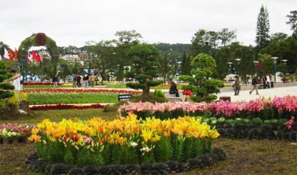 Dalat (da lat)