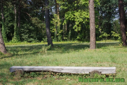 Dendropark vesel bokovenki, regiunea Kirovohrad