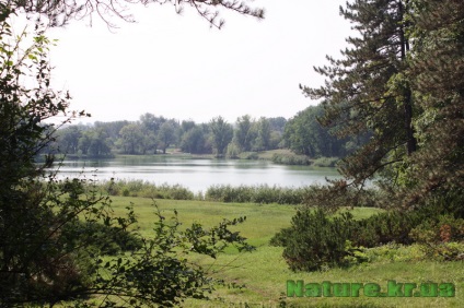 Dendropark vesel bokovenki, regiunea Kirovohrad