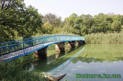 Dendropark vesel bokovenki, regiunea Kirovohrad