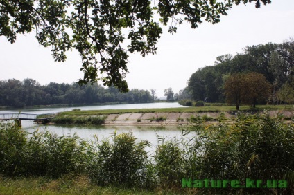 Dendropark vesel bokovenki, regiunea Kirovohrad