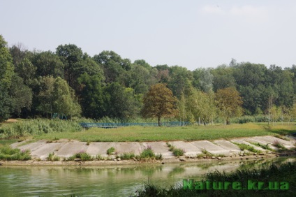 Dendropark vesel bokovenki, regiunea Kirovohrad