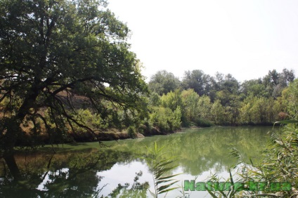 Dendropark vesel bokovenki, regiunea Kirovohrad