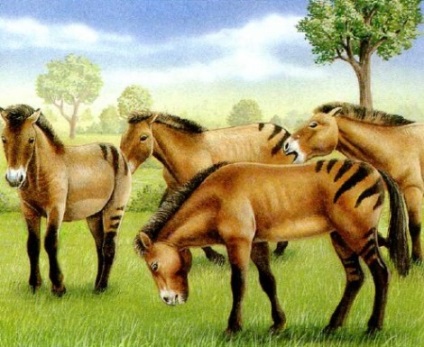 Istorie lungă de cai, dinozauri, evoluție