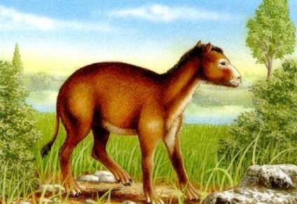Istorie lungă de cai, dinozauri, evoluție