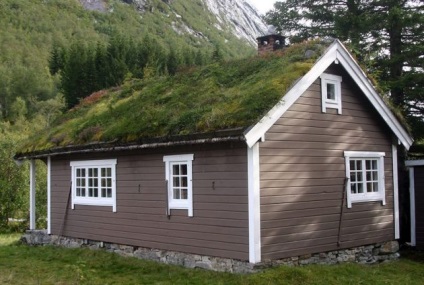 Case în caracteristici de design scandinave