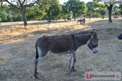 Turul satului bulgar, Bulgaria - 