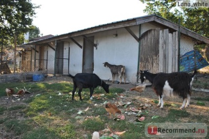 Turul satului bulgar, Bulgaria - 