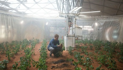 Experimentele au confirmat posibilitatea de a crea plantații de cartofi pe Marte