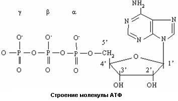 Якщо ми кинемо все шкідливі звички, то проживемо в середньому 86 років - зожнік