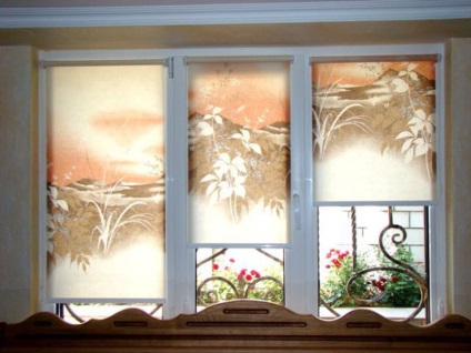 Fotografie de jaluzele pe ferestre, caracteristici de role perdele din plastic pe ferestre, opțiuni pentru draperii, caracteristici
