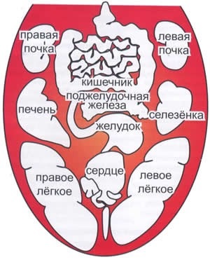 Gelectsevtika - az agel felfüggesztett gélek gyártásának technológiája