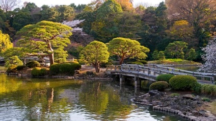 Parcul imperial Shinjuku (Shinjuku-gyoen) din Tokyo