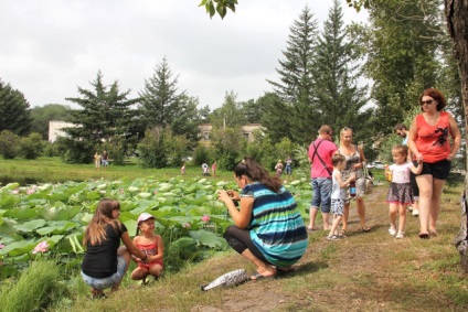 Lotusurile din Ivanovo înfloreau săptămâna trecută