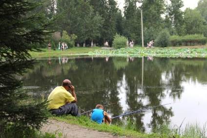 Lotusurile din Ivanovo înfloreau săptămâna trecută