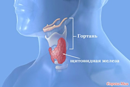 Iod și glandă tiroidă - țara mamei