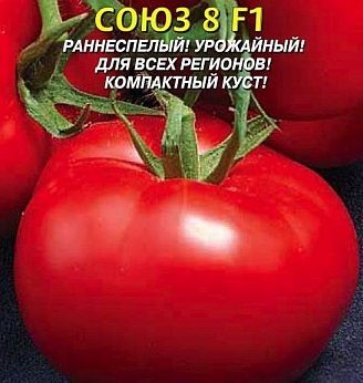 Ce fel de tomate nu se tem de phytophthora, rezistente la phytophthora