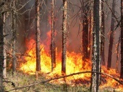 Cum să evitați un incendiu forestier