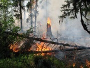 Cum să evitați un incendiu forestier